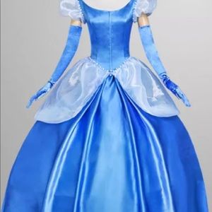 Cinderella costume